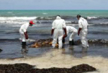 117 migrant bodies washed up on Libyan beach